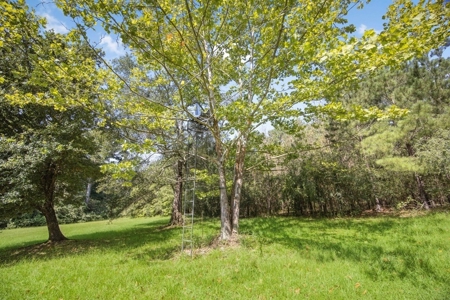 Wilkinson County Getaway on 48+- acres with a Pond - image 22