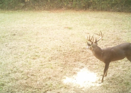 Wilkinson County Getaway on 48+- acres with a Pond - image 2