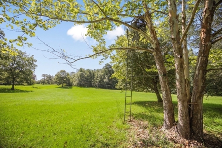 Wilkinson County Getaway on 48+- acres with a Pond - image 23