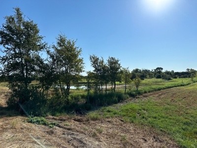 Exquisite 39+/- Acre Texas Estate in Coryell County - image 41