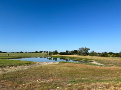 Exquisite 39+/- Acre Texas Estate in Coryell County - image 48