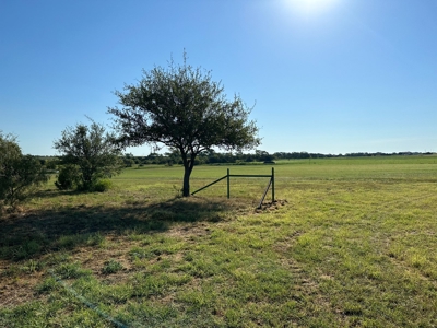 Exquisite 39+/- Acre Texas Estate in Coryell County - image 47
