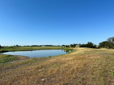 Exquisite 39+/- Acre Texas Estate in Coryell County - image 42