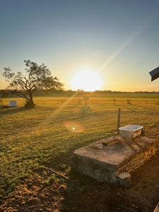 Exquisite 39+/- Acre Texas Estate in Coryell County - image 29