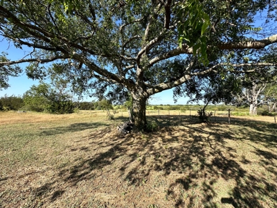 Exquisite 39+/- Acre Texas Estate in Coryell County - image 38