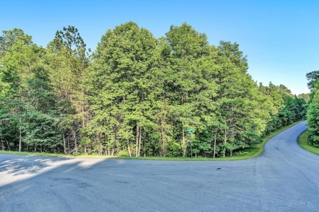 Lot for Sale on Smith Mountain Lake - image 6