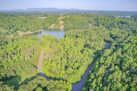 Lot for Sale on Smith Mountain Lake - image 2