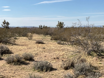 Mineral Rights Included -  Owner Financing Avail - 18 Ac - image 6