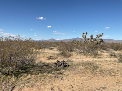 Mineral Rights Included -  Owner Financing Avail - 18 Ac - image 7