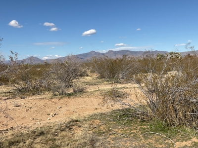Mineral Rights Included -  Owner Financing Avail - 18 Ac - image 5