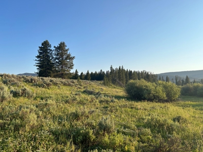Land For Sale Near Steamboat Springs, Colorado - image 13