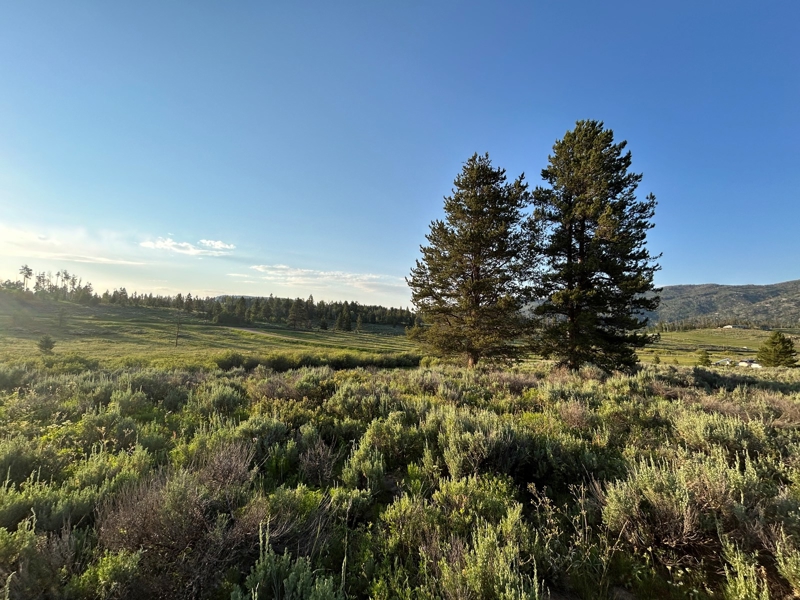 20965 Hoch Eye Way Ryan McCulley (970) 219-5210