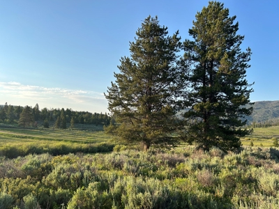 Land For Sale Near Steamboat Springs, Colorado - image 7