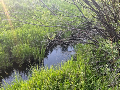 Land For Sale Near Steamboat Springs, Colorado - image 16