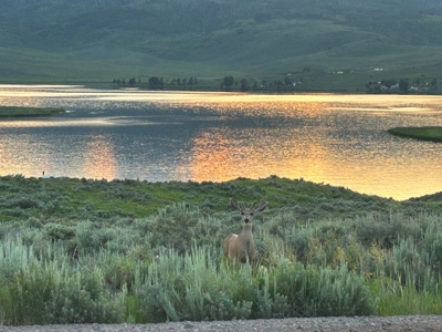 Land For Sale Near Steamboat Springs, Colorado - image 20