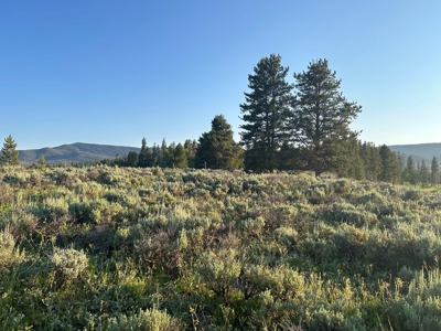 Land For Sale Near Steamboat Springs, Colorado - image 12