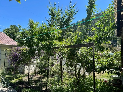 Home for Sale in Orofino, ID with Studio Apartment - image 40