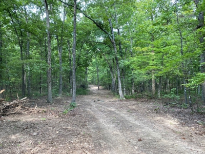 Land For Sale In North Central Arkansas - image 12
