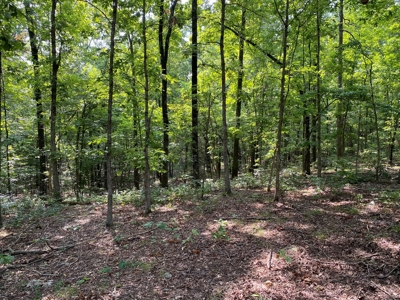 Land For Sale In North Central Arkansas - image 14