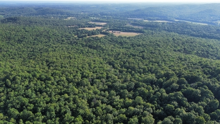 Land For Sale In North Central Arkansas - image 1