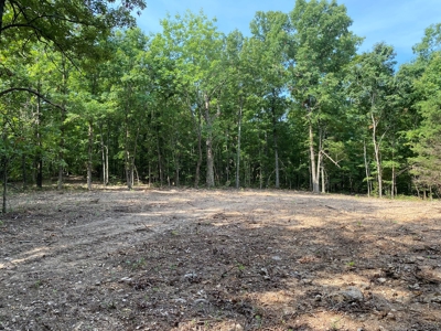 Land For Sale In North Central Arkansas - image 13
