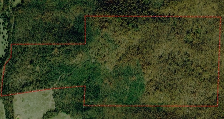 Land For Sale In North Central Arkansas - image 6