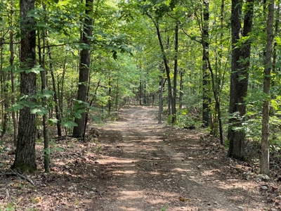 Land For Sale In North Central Arkansas - image 10
