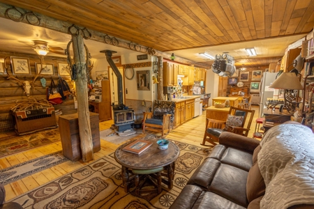 Colorado Outfitting Business for Sale National Forest Access - image 2