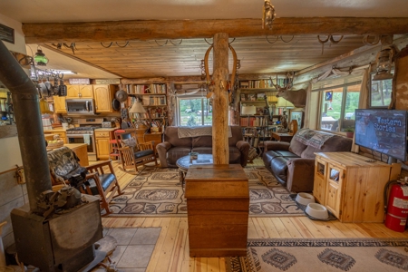 Colorado Outfitting Business for Sale National Forest Access - image 3