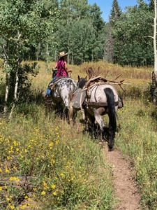 Colorado Outfitting Business for Sale National Forest Access - image 35