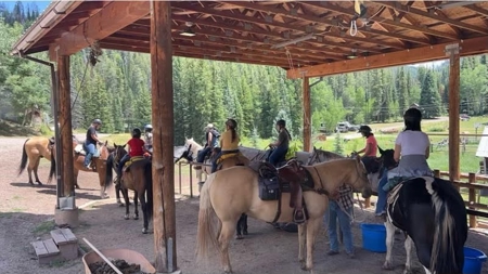 Colorado Outfitting Business for Sale National Forest Access - image 38