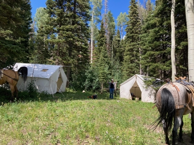 Colorado Outfitting Business for Sale National Forest Access - image 36