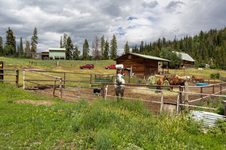 Colorado Outfitting Business for Sale National Forest Access - image 28