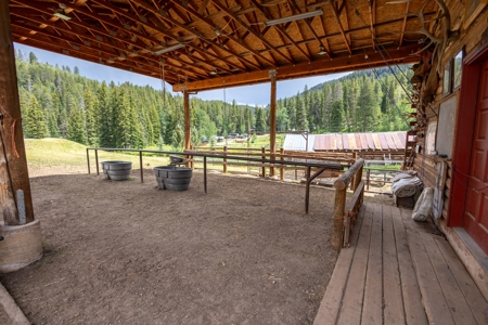 Colorado Outfitting Business for Sale National Forest Access - image 18