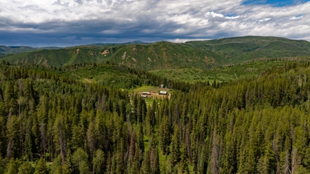 Colorado Outfitting Business for Sale National Forest Access - image 25