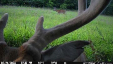 Land For Sale In Arkansas - image 17