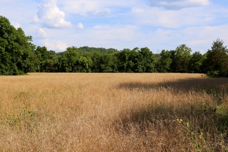 Land For Sale In Arkansas - image 3
