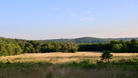 Land For Sale In Arkansas - image 4