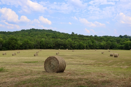 Land For Sale In Arkansas - image 7