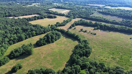 Land For Sale In Arkansas - image 2