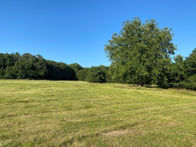 Land For Sale In Arkansas - image 14