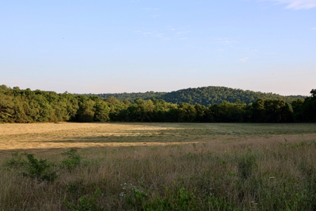 Land For Sale In Arkansas - image 6