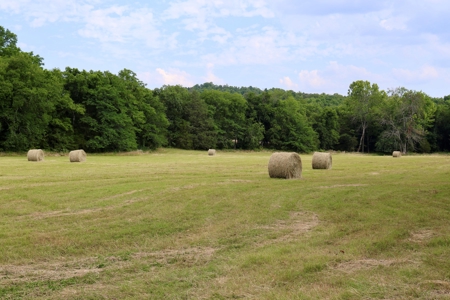 Land For Sale In Arkansas - image 8