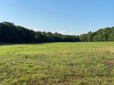 Land For Sale In Arkansas - image 13