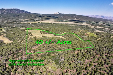 Colorado Land For Sale Borders National Forest and BLM - image 20