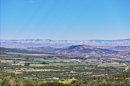 Colorado Land For Sale Borders National Forest and BLM - image 2