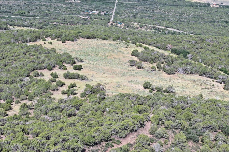 Acreage Borders Public Land For Sale in Colorado