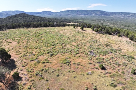 Colorado Land For Sale Borders National Forest and BLM - image 13