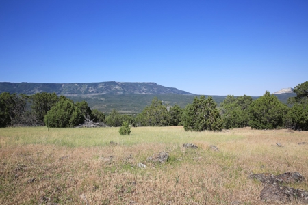 Colorado Land For Sale Borders National Forest and BLM - image 24