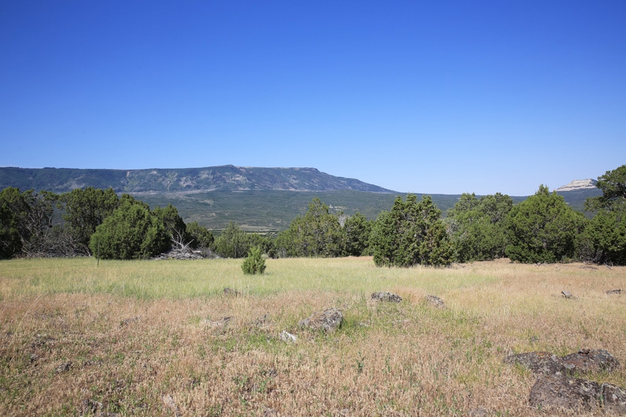 Acreage Borders Public Land For Sale in Colorado